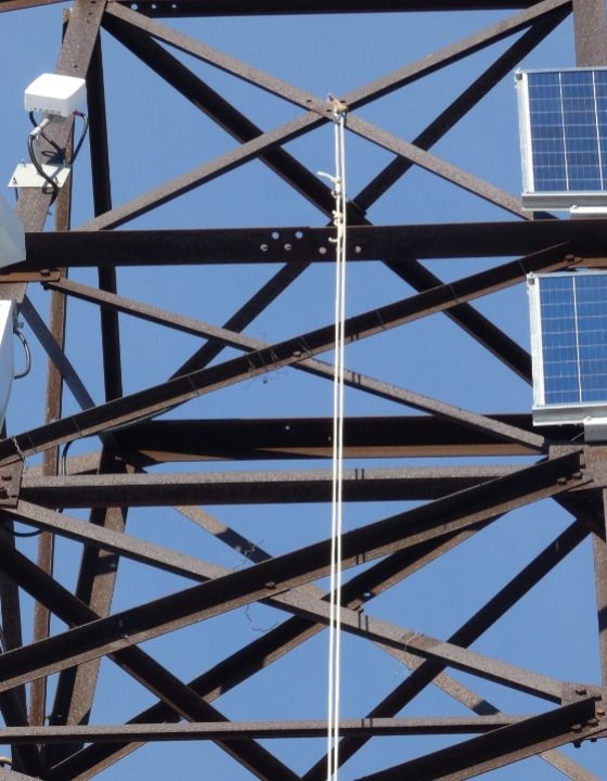 Изображение WhatsApp 2024-08-13 в 13.04.00_123e16b5